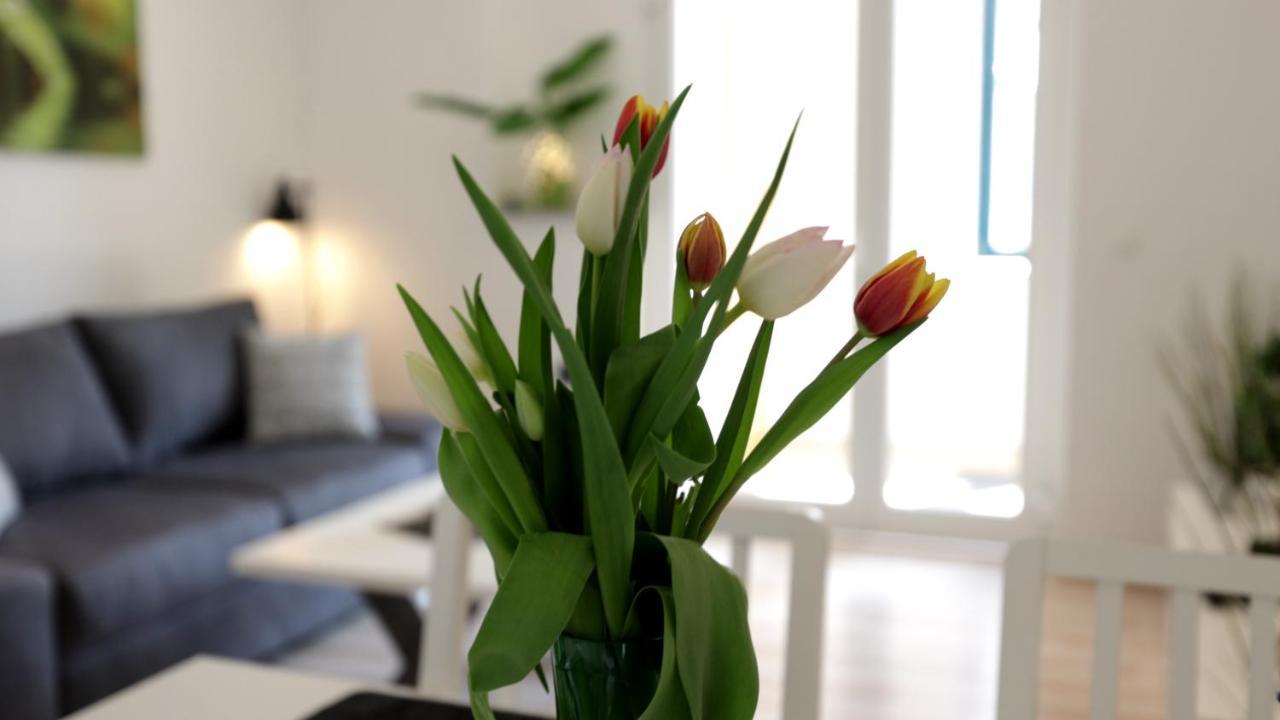 Lovely Apartment